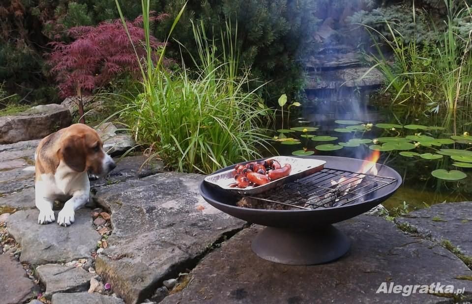 Palenisko Ogrodowe Eliwne Grill Ognisko Przeno Ne Efektowne