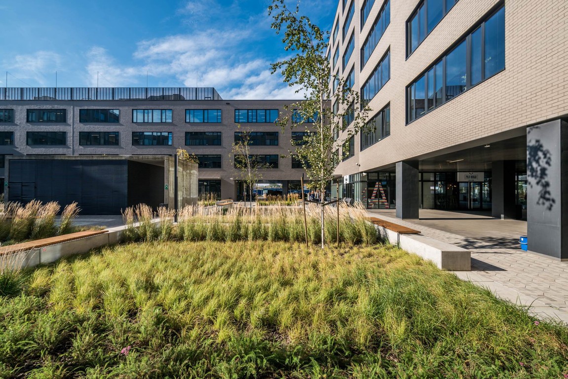 Komercyjne do wynajęcia, 1080 m², 1 pomieszczenie Wrocław Psie Pole - Widok 4