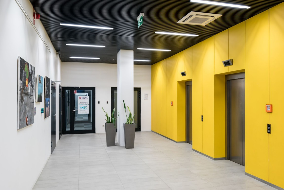 Komercyjne do wynajęcia, 1080 m², 1 pomieszczenie Wrocław Psie Pole - Widok 5