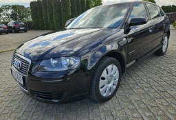 Audi A3 II (8P) 1,6 MPI benzyna 102KM