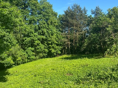 Działka budowlana z lasem, okolice Krakowa-1