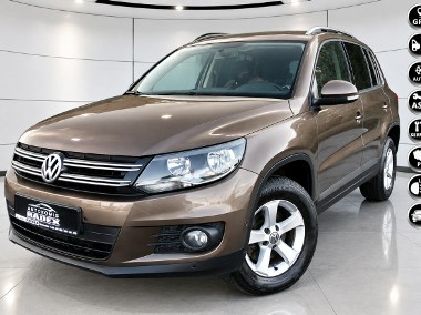 Volkswagen Tiguan I Salon PL|As.Parkowania|2xPark|6 Bieg|Klimatronic| Serwisow|GWARACJA-1