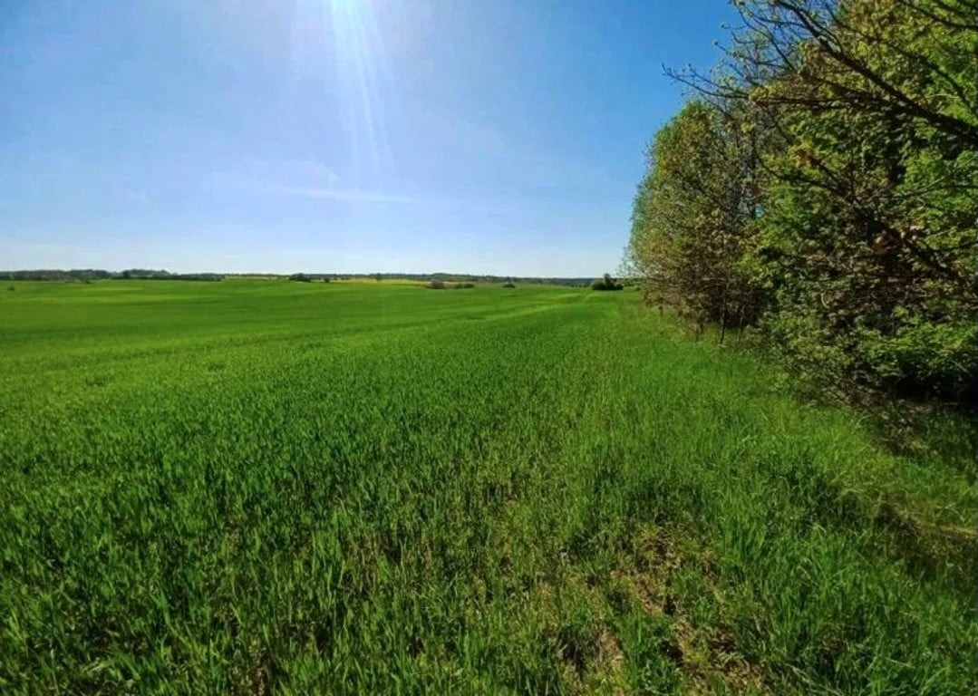 Działka budowlana z dostępnem do drogi. RATY. - Widok 4