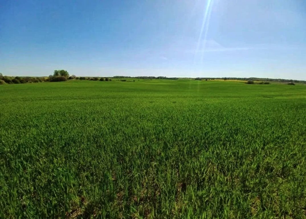 Działka budowlana z dostępnem do drogi. RATY. - Widok 5
