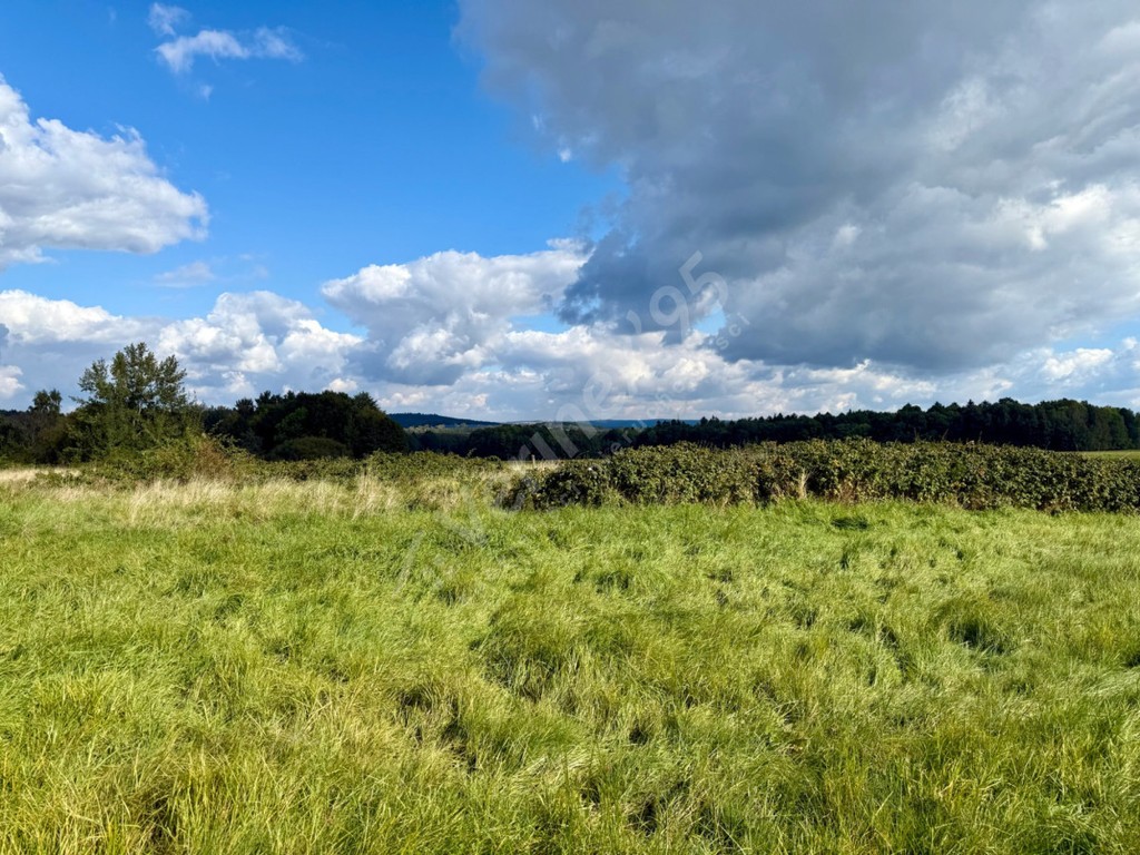 Działka z widokiem na Góry - View 4