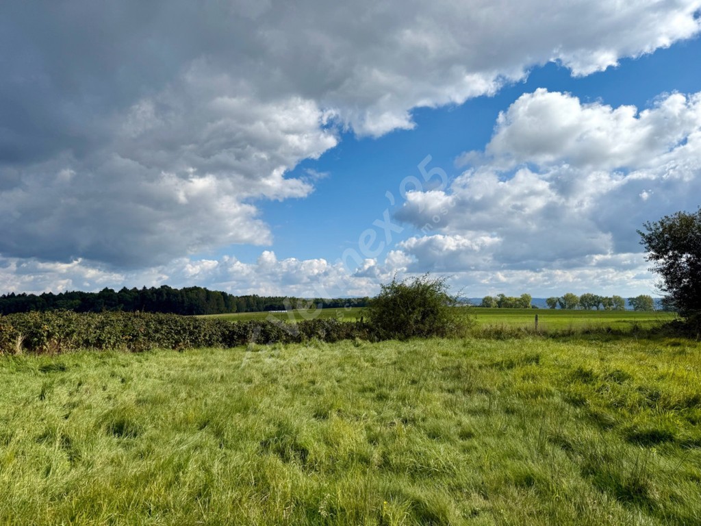 Działka z widokiem na Góry - View 5