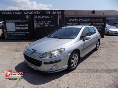 Peugeot 407-1