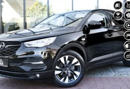 Opel Grandland X AUTOMAT|Salon Niemcy|1 Reka|As.Pasa|2x Parktronic| Serwis ASO|GWARAN