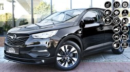 Opel Grandland X AUTOMAT|SalonNiemcy|Kamera|1 Reka|As.Pasa|2x Park| Serwis ASO|GWARAN