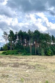 Działka 1,7 ha z lasem w Kobylej Górze-2
