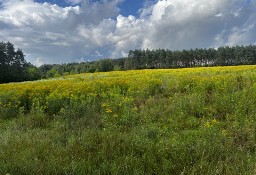 Urokliwa działka budowlana Obrowo