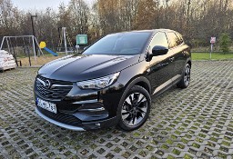 Opel Grandland X rej. 2019, pierwszy właściciel, garażowany, serwisowane w ASO