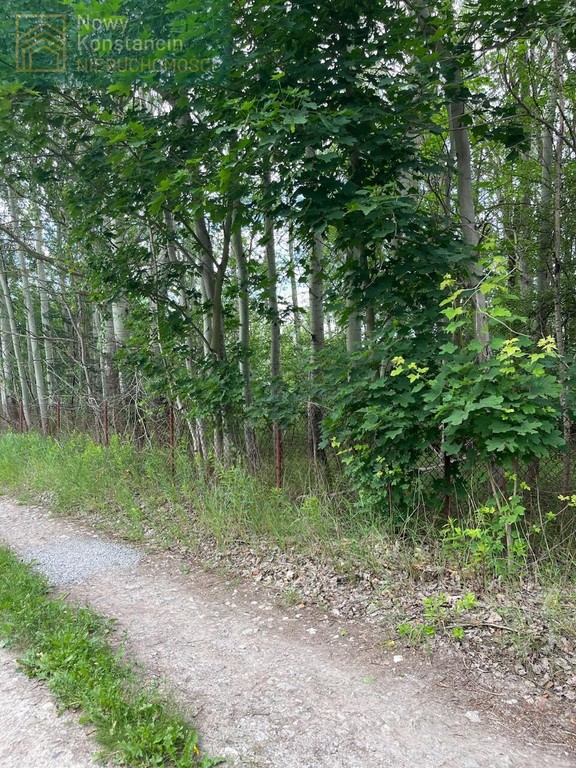 Działka budowlana, 2000 m², Borowina – pohled 3