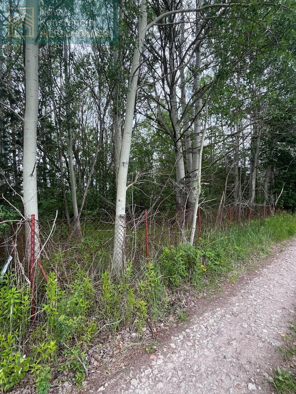Działka budowlana, 2000 m², Borowina – pohled 6