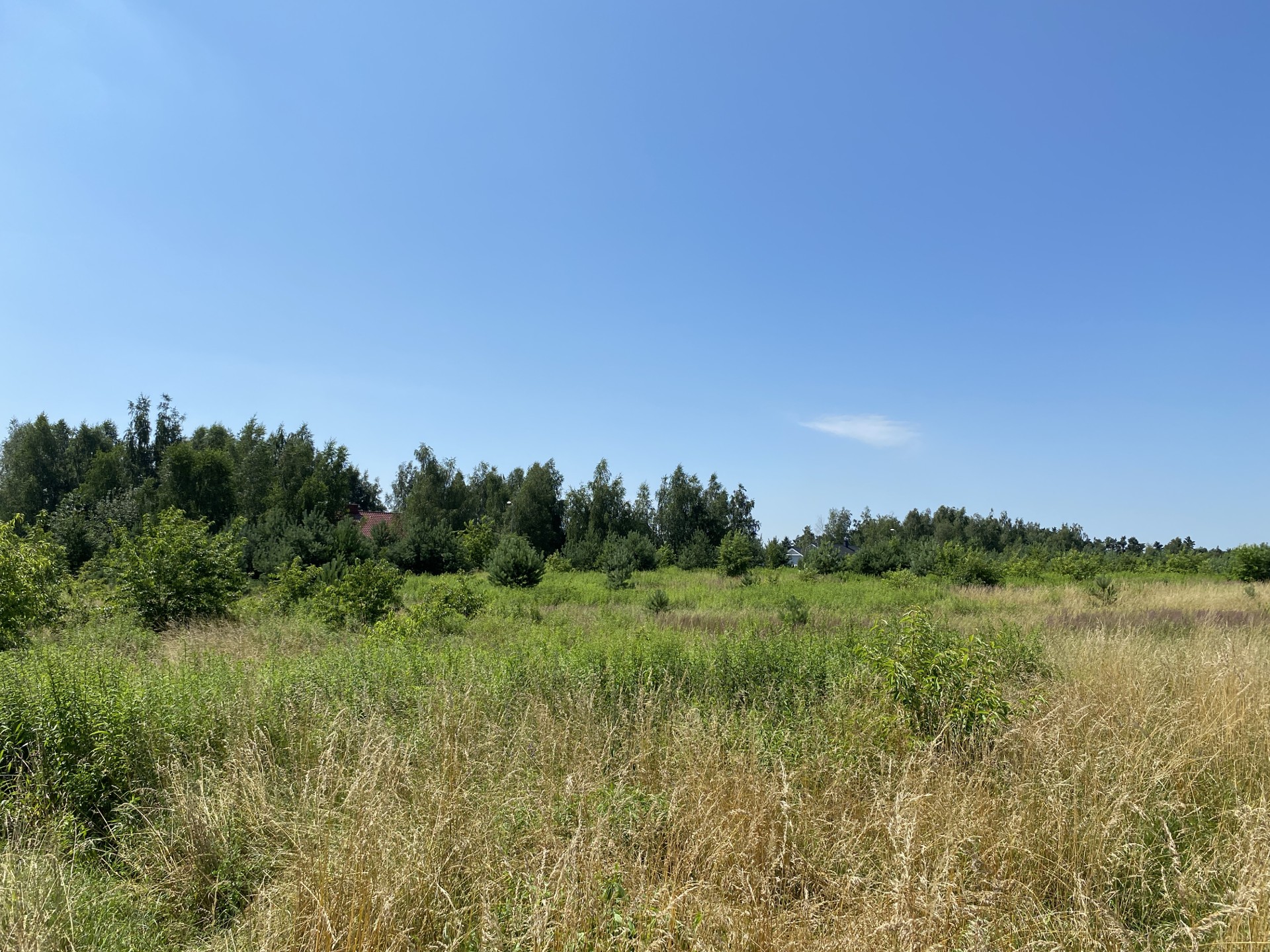 piękna duża działka budowlana, inwestycyjna. - Widok 6