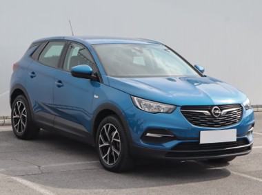 Opel , Salon Polska, Klima, Tempomat, Parktronic-1