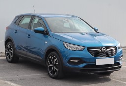 Opel Inny Opel , Salon Polska, Klima, Tempomat, Parktronic