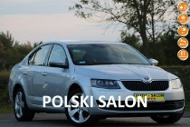 Skoda Octavia III krajowy,1-właściciel,serwisowany,Fa VAT,bezwypadkowy,2015-rejestracj