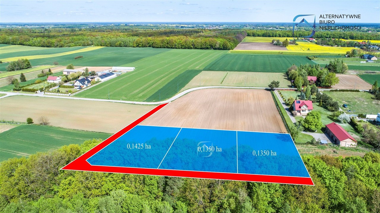 Działki budowlane pod lasem w Smugach - Widok 3