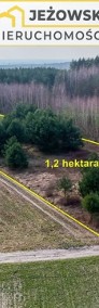 1,2 hektara z drzewami pod letnisko lub dom.-4