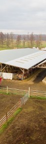 Gospodarstwo rolne - hodowla i chów bydła-4