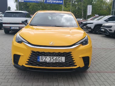 salon Polska -1