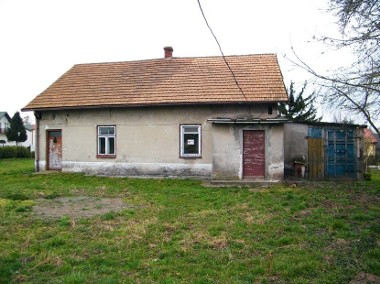 Dom Działoszyce-1