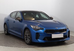 Kia Stinger , Salon Polska, 1. Właściciel, Automat, VAT 23%, Skóra, Navi,