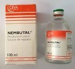 Kup Nembutal online, kup Pentobarbital w Polsce i Europie