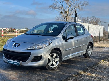 Peugeot 207-1