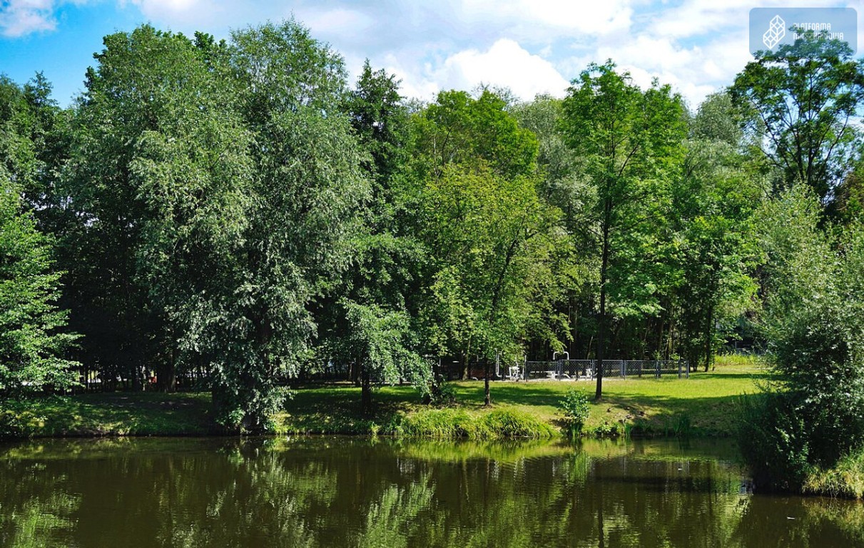 NIEBANALNA ARCHITEKTURA. TYLKO U NAS – pohled 6
