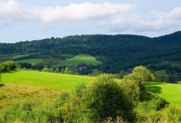 Działka budowlana Krynica-Zdrój, ul. Zawodzie