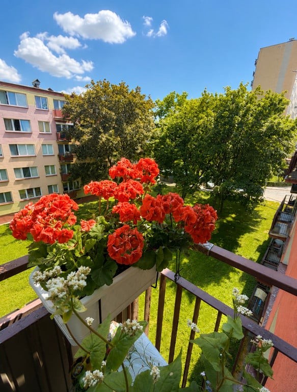 39 m² Płock, Zgliczyńskiego - Widok 4