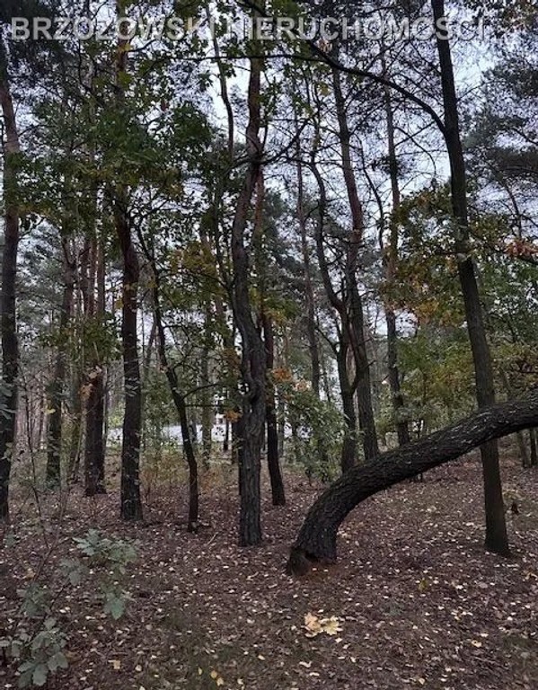 Marki, 2597 m², MPZP, mieszkaniowa wolnostojąca - Widok 6