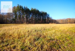 Działka inna Borek Wielki