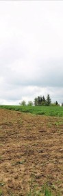 Działka rolna Lubenia-4