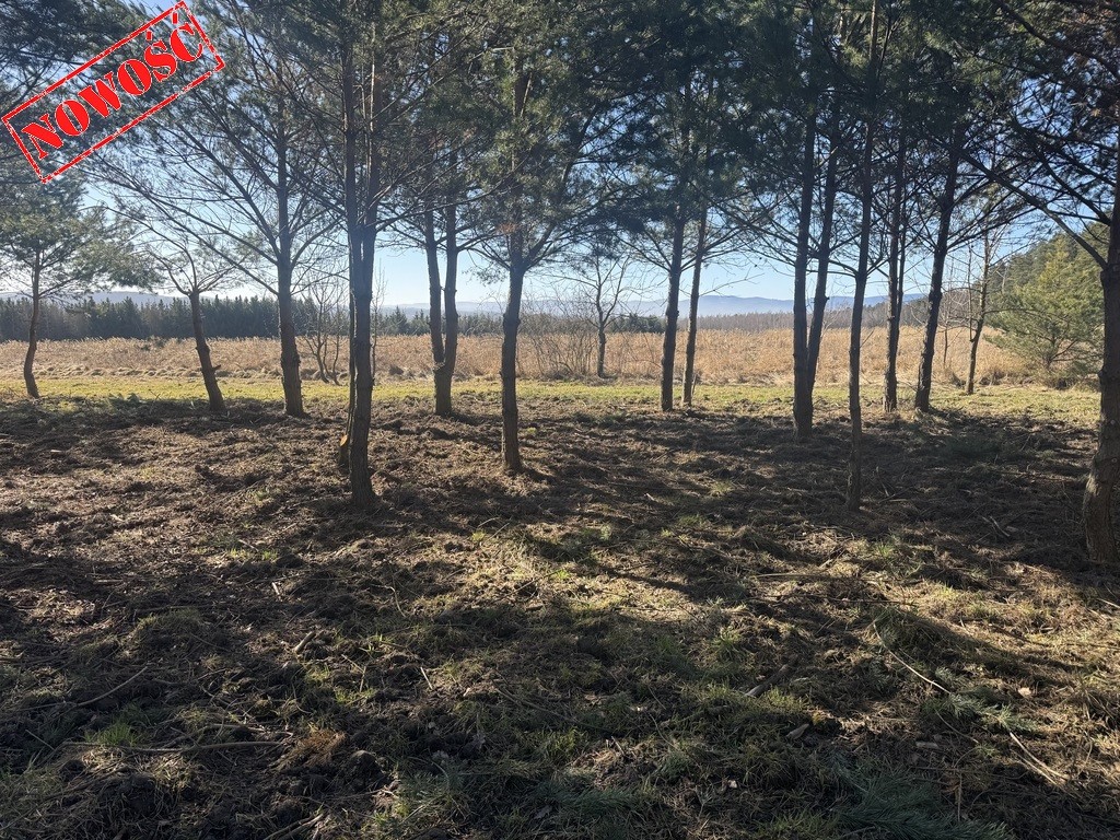 Działka budowlana 2038 m² (ML), Słupice – pohled 2