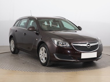 Opel Insignia , Salon Polska, Xenon, Bi-Xenon, Klimatronic, Tempomat,-1