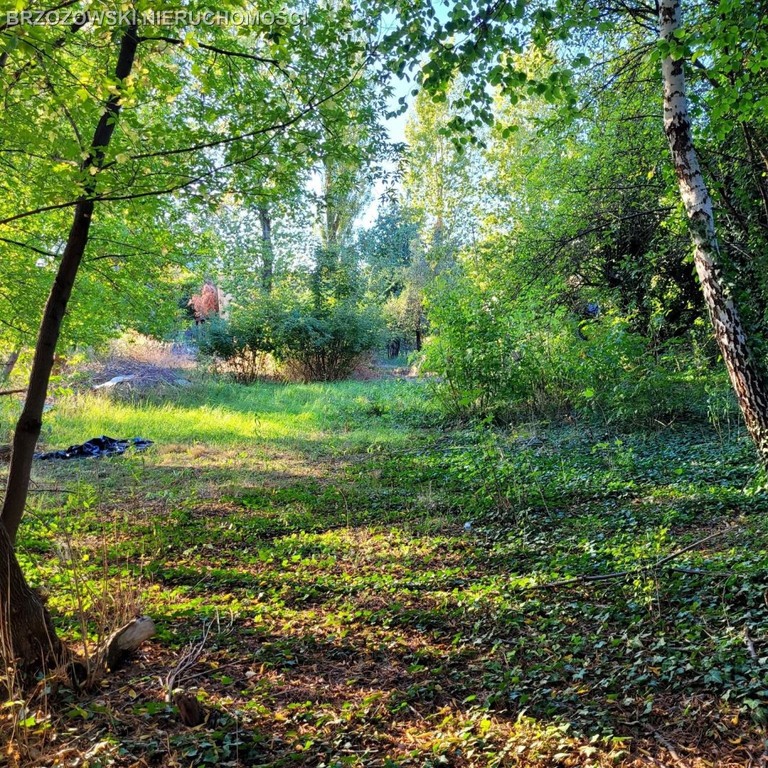 Włochy, 1039 m², MPZP, usługowa - Ansicht 2