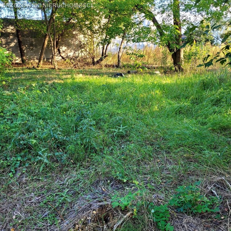 Włochy, 1039 m², MPZP, usługowa - Ansicht 3