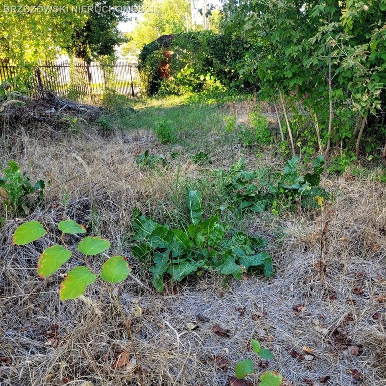 Włochy, 1039 m², MPZP, usługowa - Ansicht 4