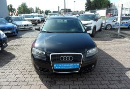 Audi A3 II (8P) Diesel