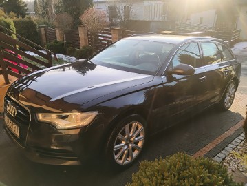 1 właściciel w kraju