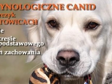 Canid Oddział Katowice zaprasza na szkolenie psów i konsultacje-1