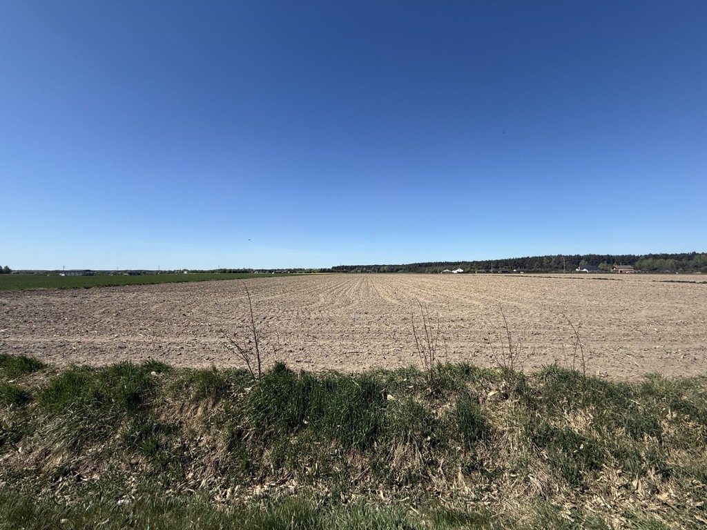Działki między jeziorem Powidzkim a Kosewskim - Widok 3