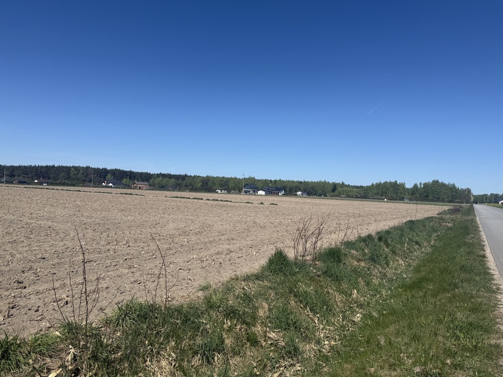 Działki między jeziorem Powidzkim a Kosewskim - Widok 5