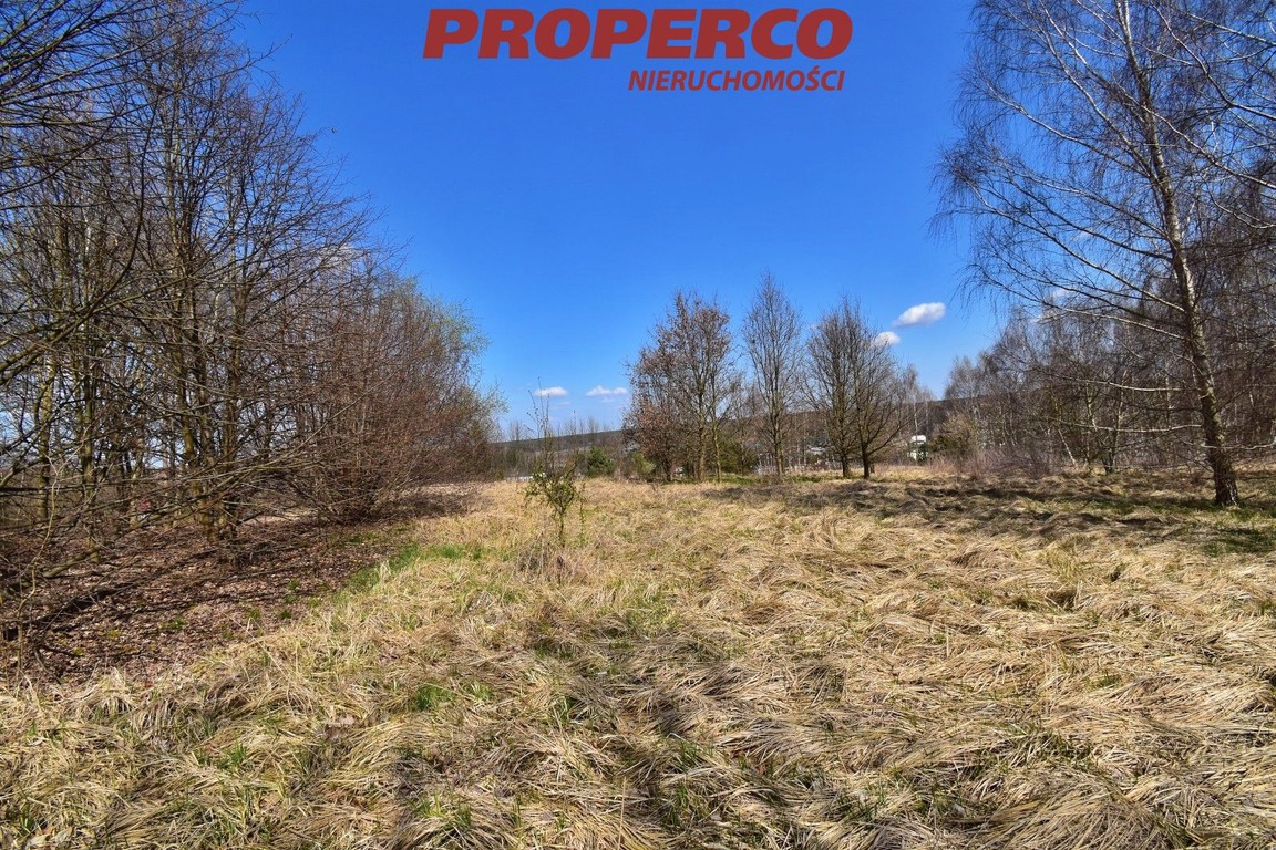 Malownicza działka, pow. 11961 m², Wąchock – pohled 4