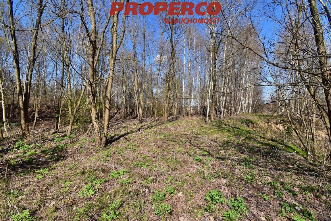 Malownicza działka, pow. 11961 m², Wąchock – pohled 5