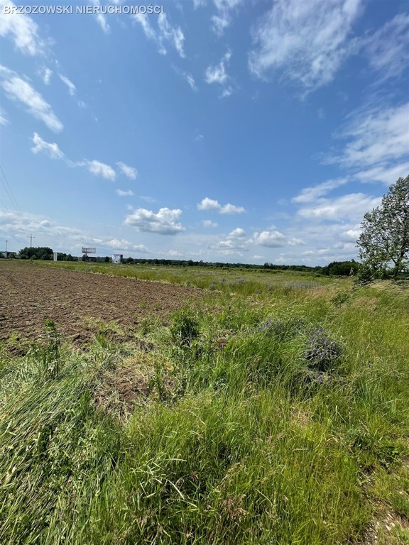 Wilanów Powsin, usługowo-budowlana, MPZP - Widok 4