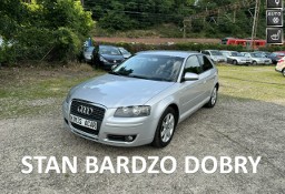 Audi A3 II (8P) 2.0TDi-140km-6-Biegów-Nawigacja-Klimatronik-Tempomat-Komputer-Zadban